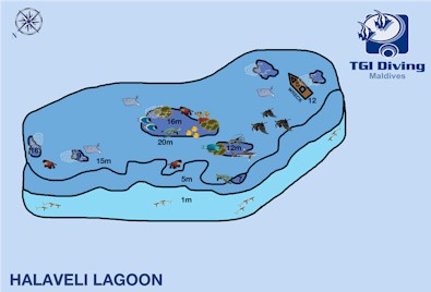 Halaveli Lagoon